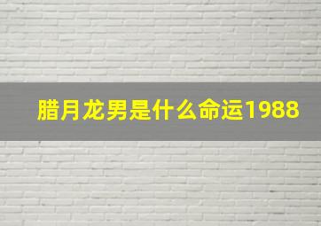 腊月龙男是什么命运1988