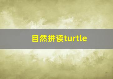 自然拼读turtle