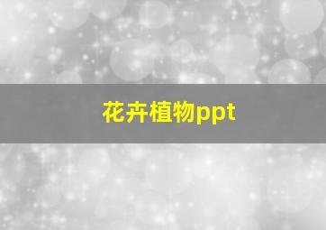 花卉植物ppt