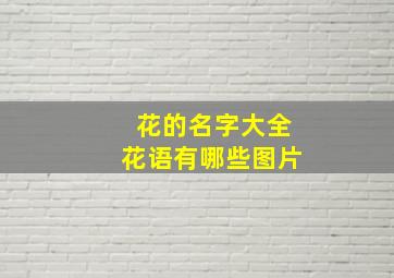 花的名字大全花语有哪些图片