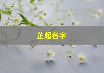 芷起名字