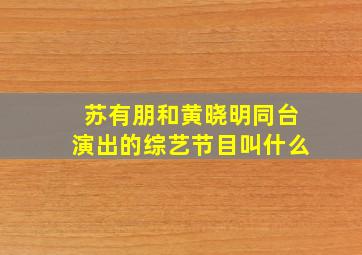 苏有朋和黄晓明同台演出的综艺节目叫什么