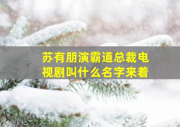 苏有朋演霸道总裁电视剧叫什么名字来着