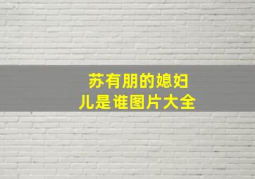 苏有朋的媳妇儿是谁图片大全