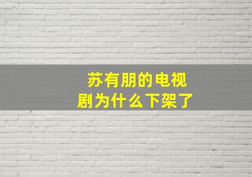 苏有朋的电视剧为什么下架了