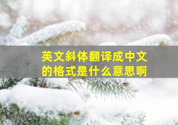 英文斜体翻译成中文的格式是什么意思啊