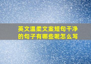 英文温柔文案短句干净的句子有哪些呢怎么写