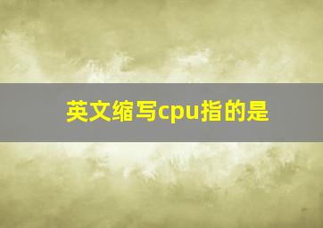 英文缩写cpu指的是