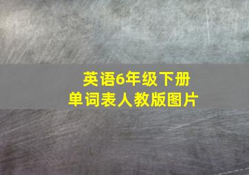 英语6年级下册单词表人教版图片