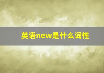 英语new是什么词性