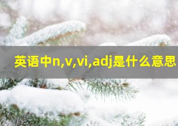 英语中n,v,vi,adj是什么意思