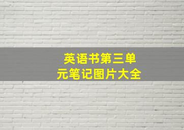 英语书第三单元笔记图片大全