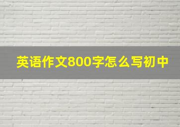 英语作文800字怎么写初中