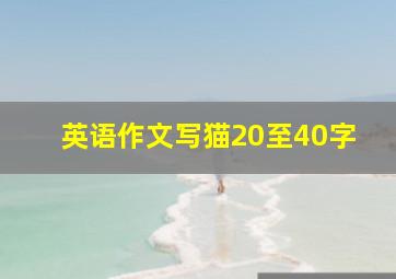 英语作文写猫20至40字