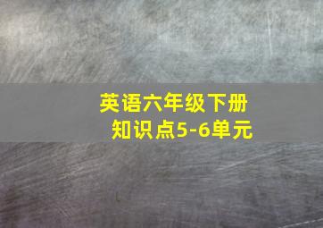 英语六年级下册知识点5-6单元