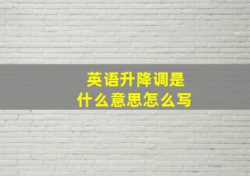 英语升降调是什么意思怎么写