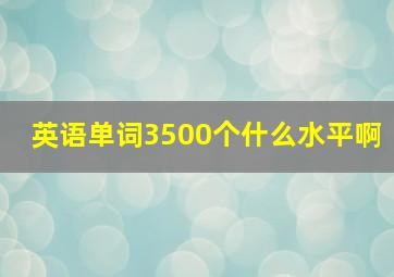 英语单词3500个什么水平啊