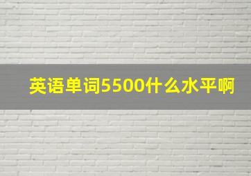 英语单词5500什么水平啊