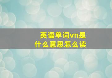 英语单词vn是什么意思怎么读