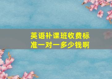 英语补课班收费标准一对一多少钱啊