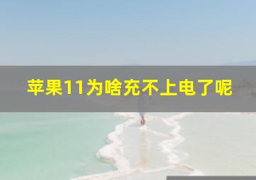 苹果11为啥充不上电了呢