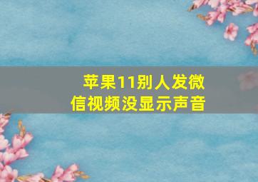 苹果11别人发微信视频没显示声音