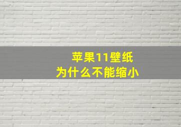 苹果11壁纸为什么不能缩小