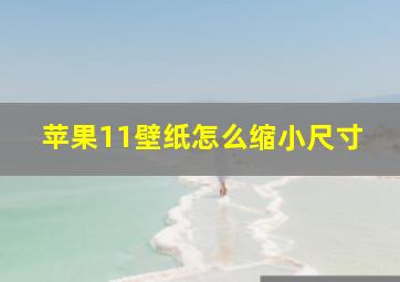 苹果11壁纸怎么缩小尺寸