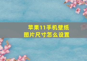 苹果11手机壁纸图片尺寸怎么设置