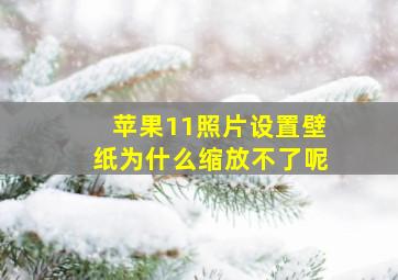 苹果11照片设置壁纸为什么缩放不了呢