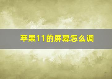 苹果11的屏幕怎么调