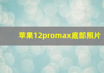 苹果12promax底部照片