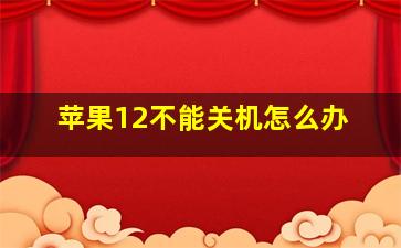 苹果12不能关机怎么办