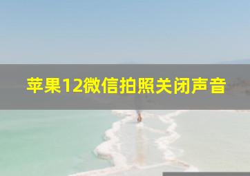 苹果12微信拍照关闭声音