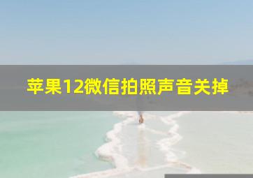 苹果12微信拍照声音关掉