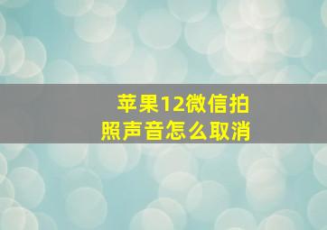 苹果12微信拍照声音怎么取消