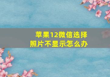 苹果12微信选择照片不显示怎么办