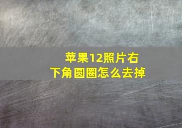 苹果12照片右下角圆圈怎么去掉