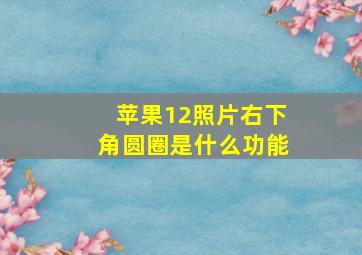 苹果12照片右下角圆圈是什么功能