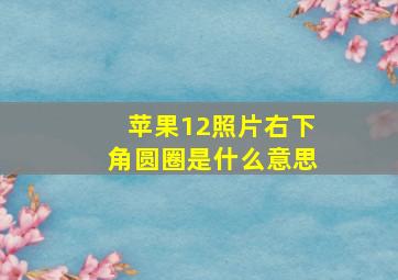 苹果12照片右下角圆圈是什么意思