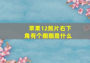 苹果12照片右下角有个圈圈是什么