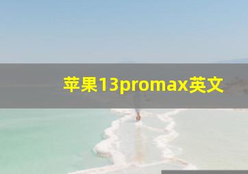 苹果13promax英文