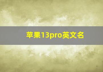 苹果13pro英文名