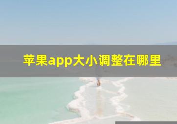 苹果app大小调整在哪里