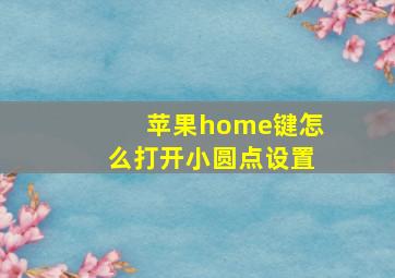 苹果home键怎么打开小圆点设置