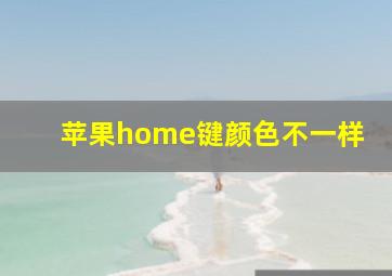 苹果home键颜色不一样