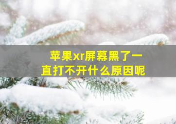 苹果xr屏幕黑了一直打不开什么原因呢