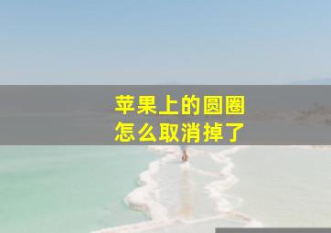 苹果上的圆圈怎么取消掉了