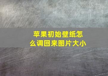 苹果初始壁纸怎么调回来图片大小