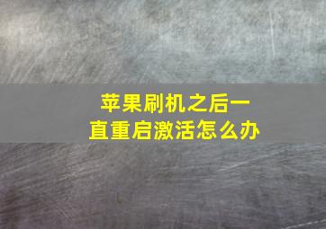 苹果刷机之后一直重启激活怎么办